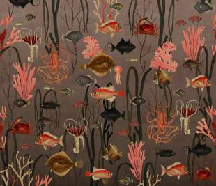 R17142_Aquatic-Life-Coral_Rebel-Walls-220_image1_web