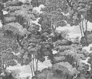 R17531_Saint-Sebastian-Graphite_Rebel-Walls_image1_web