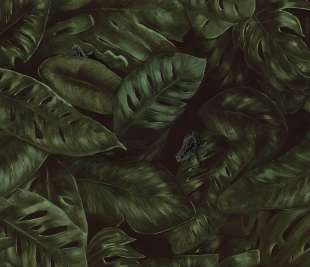 R17581_Cameroon-Fern_Rebel-Walls_image1_web