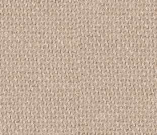 tekstura_0027_3008 (1)