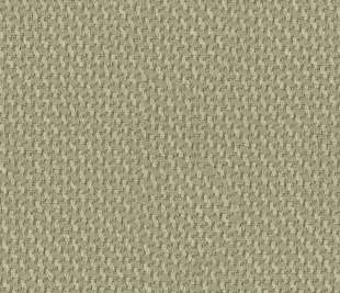 tekstura_0018_3017 (1)