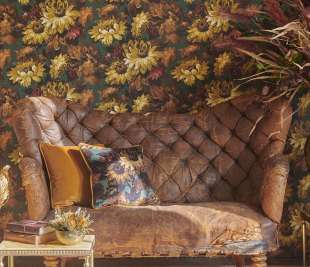 Marianne-WP-Cameo-2.1