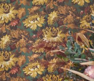 Marianne-WP-Cameo-2.2