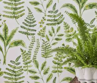 Marianne-WP-Cameo-3.3