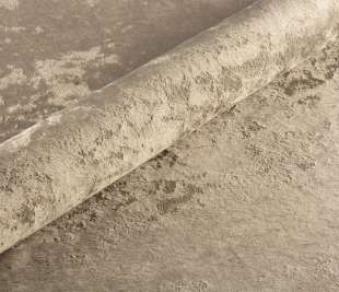 eureka_2000x1333__0027_2146-min