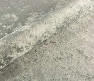 eureka_2000x1333__0008_2133-min