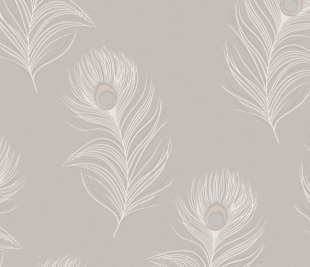 36243-Pavona-Heather_web