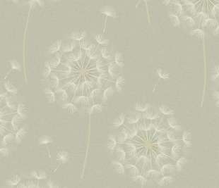 36259-Allora-Sage_web