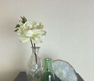 36318-Weave-dove-cameo_web