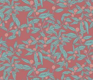 TdV_POEME_HD_CLEMENTINE_Raspberry_web