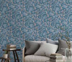 CLEMENTINE_Royal_mapping_HD_web