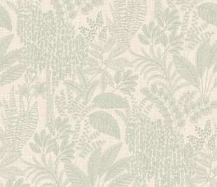 66052 Oasis image sage