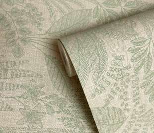 66052 Oasis Sage rollshot