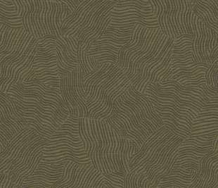 66013 Tenere olive image