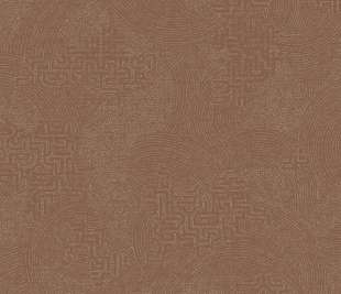 66026 Richat image Rust