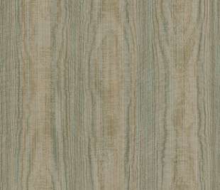 66090 Sahel Olive Rust image