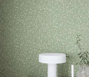 24127__hall__1__tapet