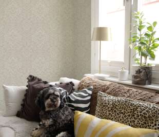 0429942_fiona-home-nw-201102_wallpaper_fiona