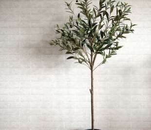 0429954_fiona-home-nw-201301_wallpaper_fiona