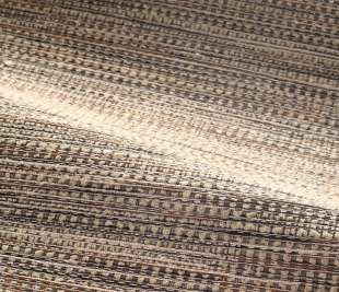 CASAMANCE_70970309_1