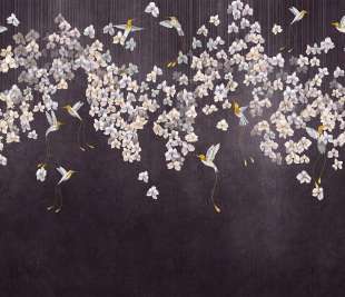 Colibris 975 31 2402