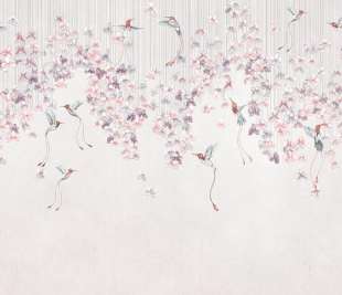 Colibris 975 32 2402