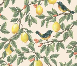 91890 Ponderosa cream orangenew