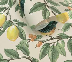 91890 Ponderosa Cream Orange rollshot