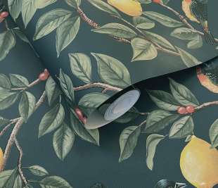 91891 Ponderosa Teal rollshot