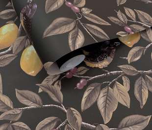 91892 Ponderosa Charcoal rollshot