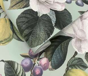 91912 Pendula Aqua rollshot