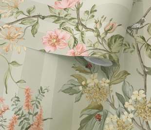 91930 Camberley Sage rollshot