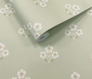 91991 Isadora Sage Rollshot