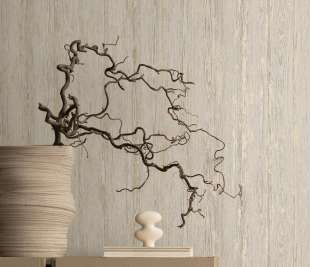 66152 Sapele Dove Closeup Roomshot NEW