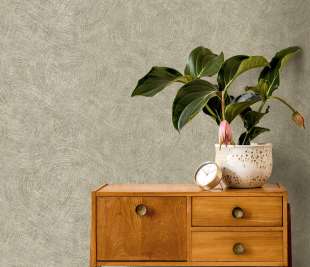 66172 Ondala Sage Roomshot