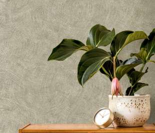 66172 Ondala Sage Closeup Roomshot