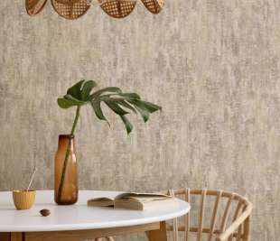 66183 Modulo Rust Roomshot