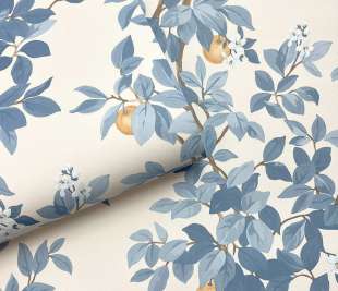 14242-Orange-Tree-Blue-rollshot