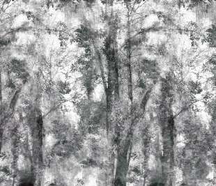 ODE191805_web