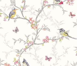 98080-Phoebe-white_web