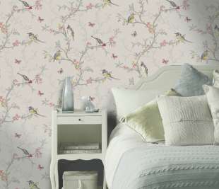 98081-Phoebe-Dove_web