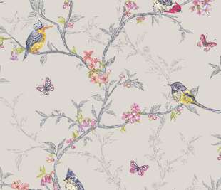 98081-Phoebe-Dove-product_web