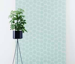 ADALIE-Sauge---Photo_web