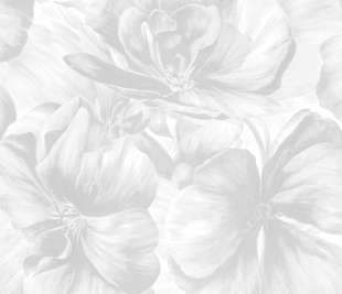 5339-1_web