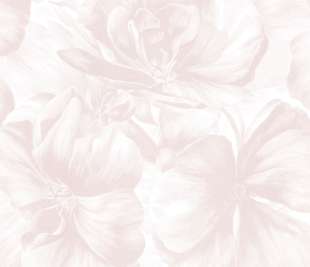 5339-2_web
