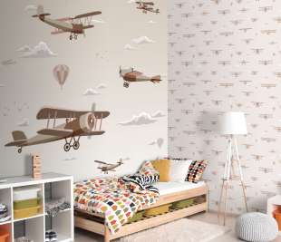 Amb-Sambori-Biplane