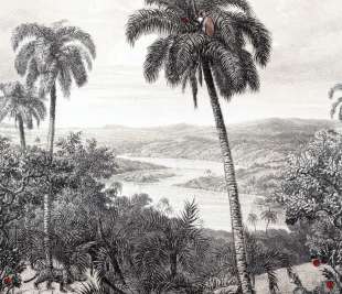 290324_Apple_Ready_13_11_19_klein_web