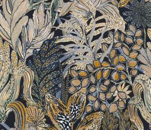 CASAMANCE_74320324_web