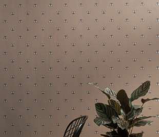 CASAMANCE_BLOSSOM_003_web