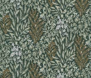 CASAMANCE_74350324_web